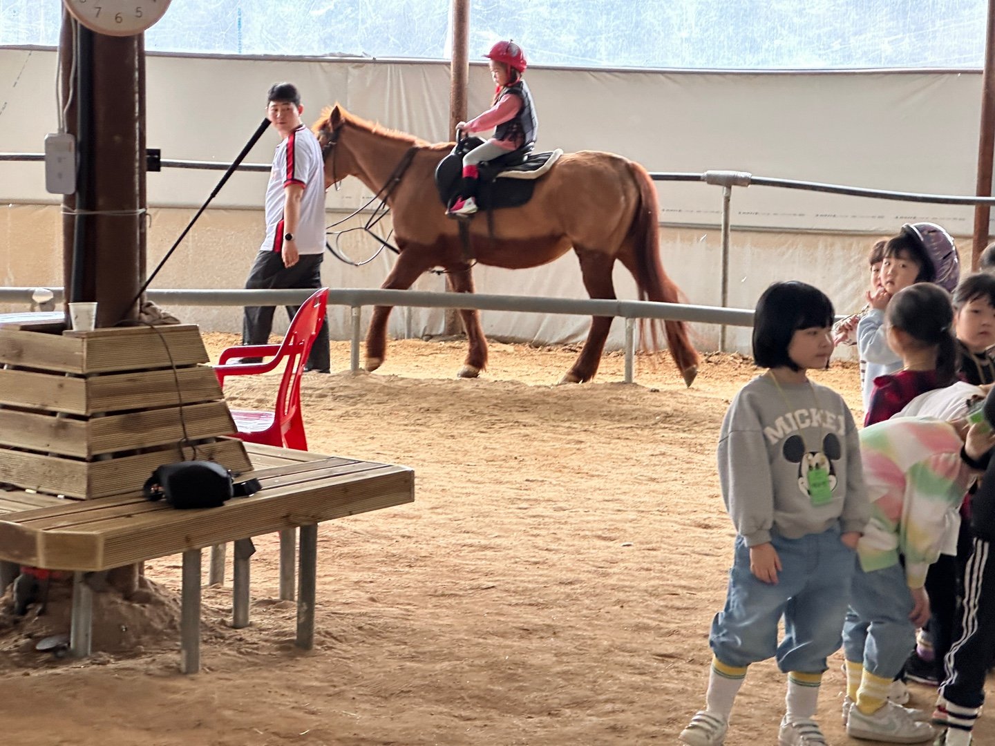 실내 원형승마장 — 교관이 옆에서 함께 걷습니다